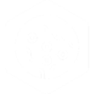 Pizzarotti Data Platform